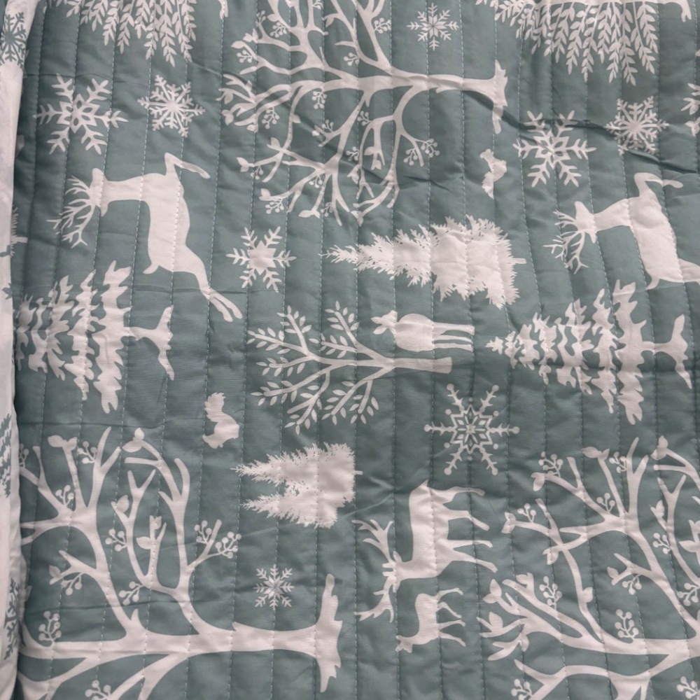 Reversible Queen Forest Dreams Beautiful Light Green REVERSIBLE NEW Final Sale